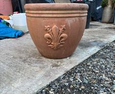 Flower Pot