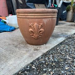 Flower Pot