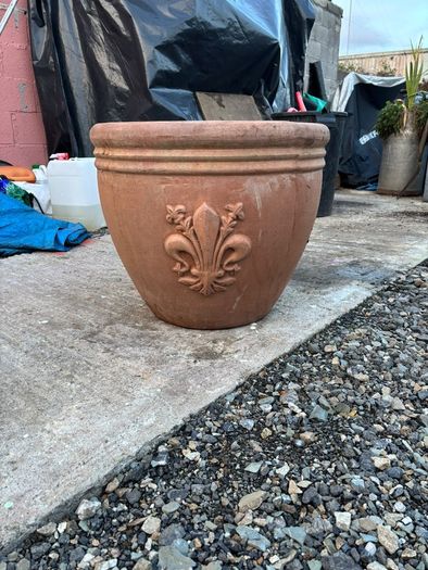 Flower Pot