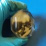 Vintage paperweight Mount Melleray Abbey Image 8