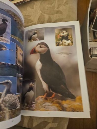 Wexford's Wild Heritage. By Alan Maguire- Christopher J. Wilson- Don Conroy. First Edition Large Volume Hardback With Dustjacket In Good Condition.  See Photos For Same.