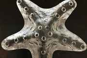 Glass Starfish