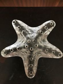 Glass Starfish