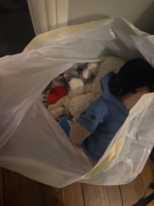 free teddies
