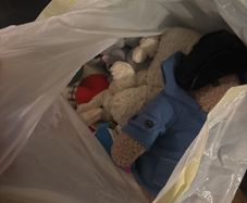 free teddies