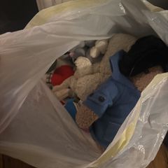 free teddies