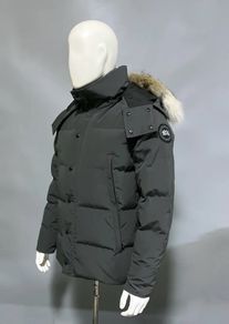 Canada Goose