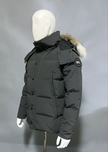 Canada Goose