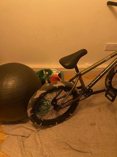 Sunday forecaster (Brett Silvia edition) custom bmx