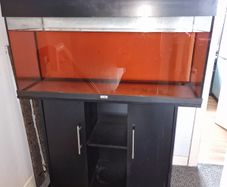 Juwel 160L Aquarium with stand