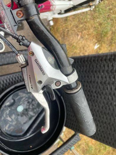 women's pink raleigh bike