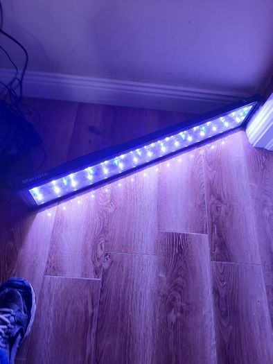 Marine Light