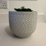 Fake plant and pot Image 5