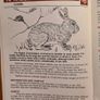 Land Mammals In Ireland. Issued By Forest And Wildlife Service. Leesonane Dublin. Booklet.1986. Image 6