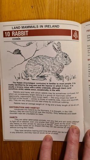 Land Mammals In Ireland. Issued By Forest And Wildlife Service. Leesonane Dublin. Booklet.1986.