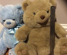 Teddy bears