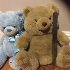 Teddy bears
