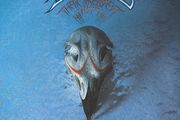The Eagles  vinyl lp