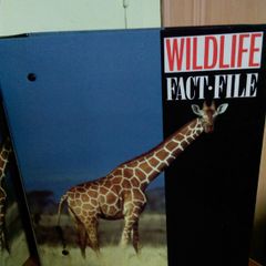 Wildlife Fact-File