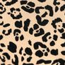 Ladies Leopard Print Blouse from Dunnes Stores Size Xs UK 6-8 / EU 34-36 Image 7