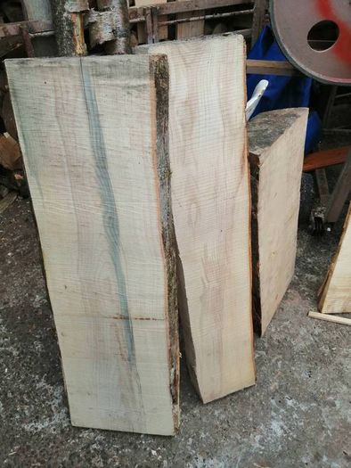 Beech and Ash