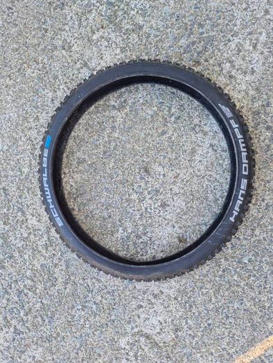 Schwalbe Hans Dampf
