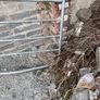 farm gate Image 3