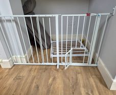 Baby gate with pet door