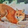 Red fox -oil paint - framed Image 4