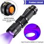 LED UV Flashlight Image 3