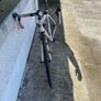 sports Image 2