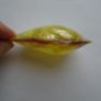 Shell ornament, Decoration, Home decor Image 3
