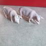 SET OF  2  Schleich Pink Pig Figure USED Made In Germany Image 8