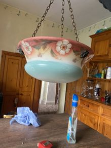 Antique vintage light shade fly catch