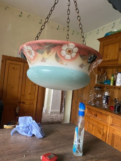 Antique vintage light shade fly catch