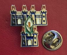 Dublin 1916/2016 commerative badge.