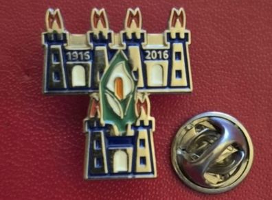 Dublin 1916/2016 commerative badge.