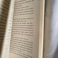 hunger games book