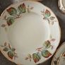 Royal Tara Fine Bone China Part Tea set Image 5