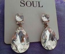 Brand New unopened drop Earrings