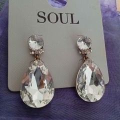 Brand New unopened drop Earrings