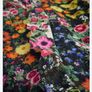 Gloriha Midi dress Image 2