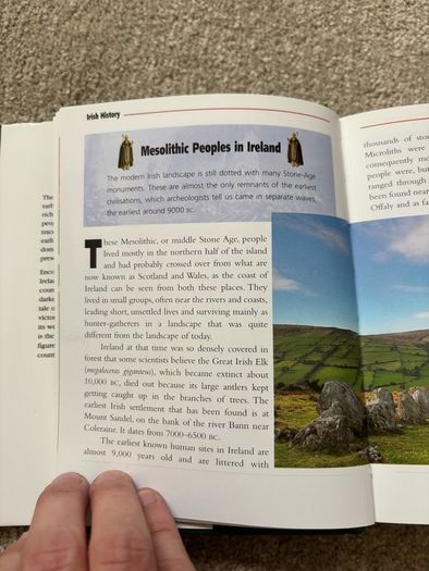 Irish History: From Prehistoric Times to the Present Day by Seamas Mac Annaidh