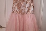 Rose Chiffon dress with sequin detail