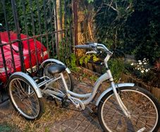 Adult trike