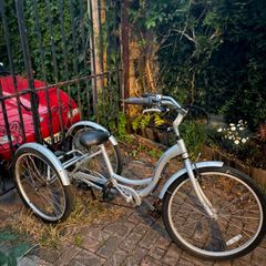 Adult trike