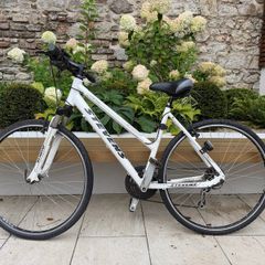 Stevens Bicycle
