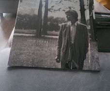 David Sylvian Brilliant Trees 2019 europe gatefold black vinyl