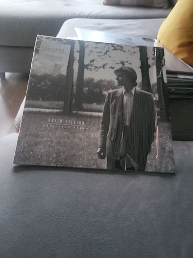 David Sylvian Brilliant Trees 2019 europe gatefold black vinyl