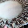 Handmade clay bowl home  decor Image 5
